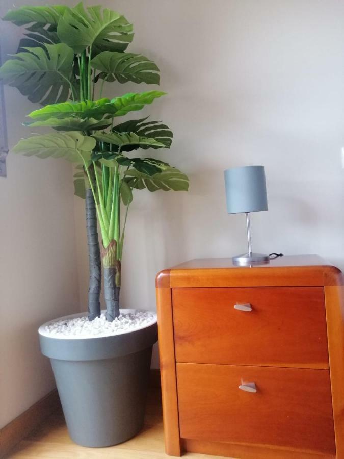 Lemon Tree Apartment Vila do Conde Zewnętrze zdjęcie